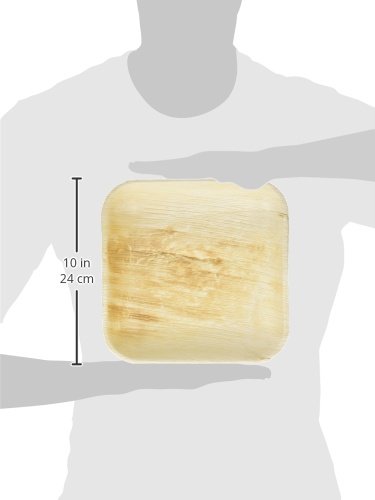 Natural Palm Plate