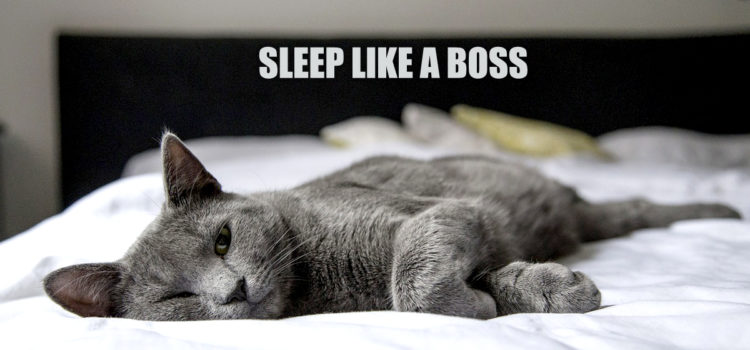 Sleep Like A Boss! A Must Read About Natural Latex Mattresses And Memory Foam Mattresses